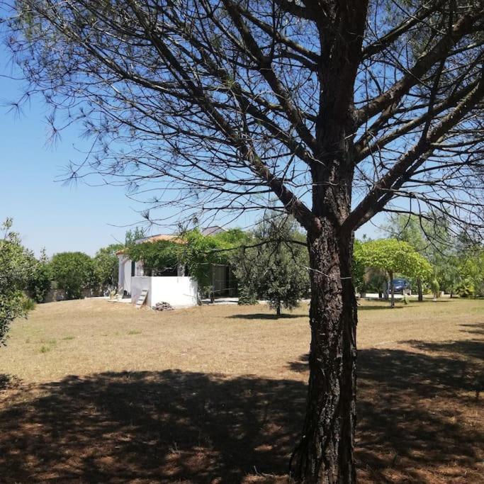 Villa Del Glicine Muro Leccese Luaran gambar